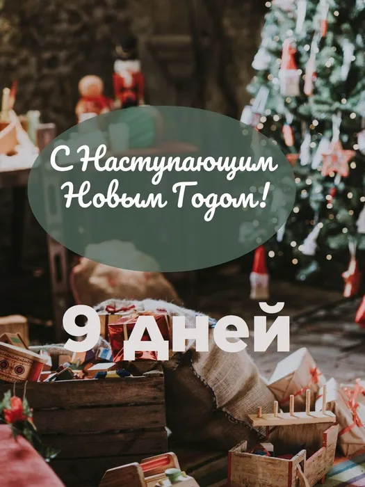 9днейДоНГ