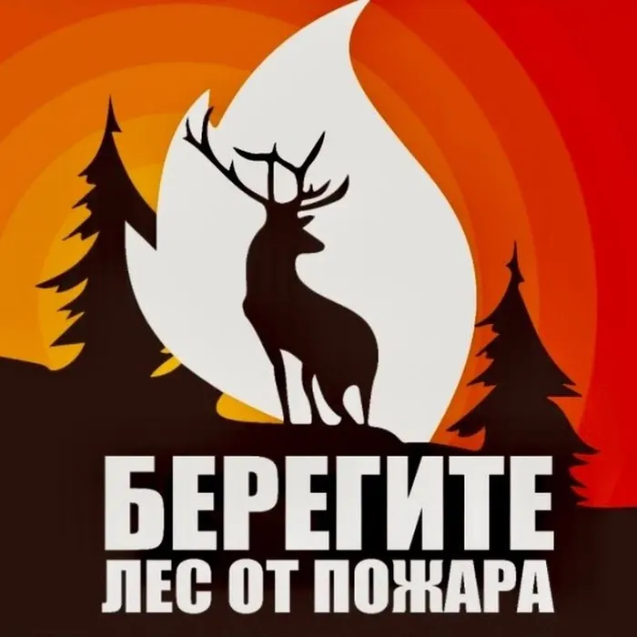 Берегите лес!